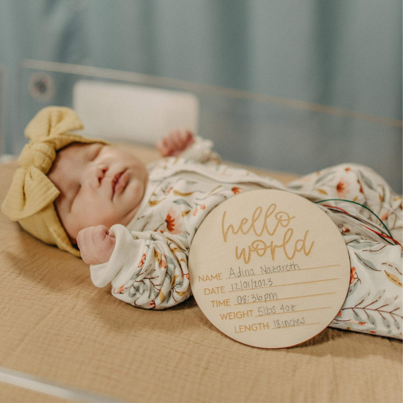 Hello World Birth Stats- Newborn Baby Plaque